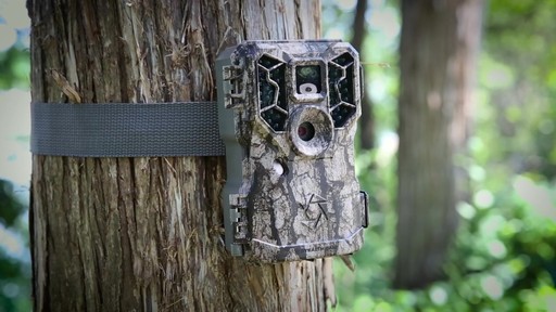 Stealth Cam PX36NGCMO Trail / Game Camera 10MP - image 1 from the video